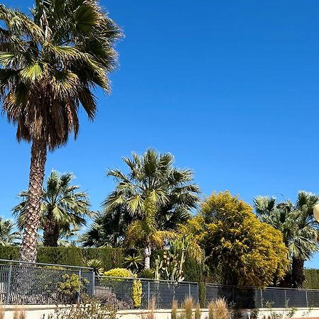 Apartamento Hermosa Glea Campoamor Ngoại thất bức ảnh